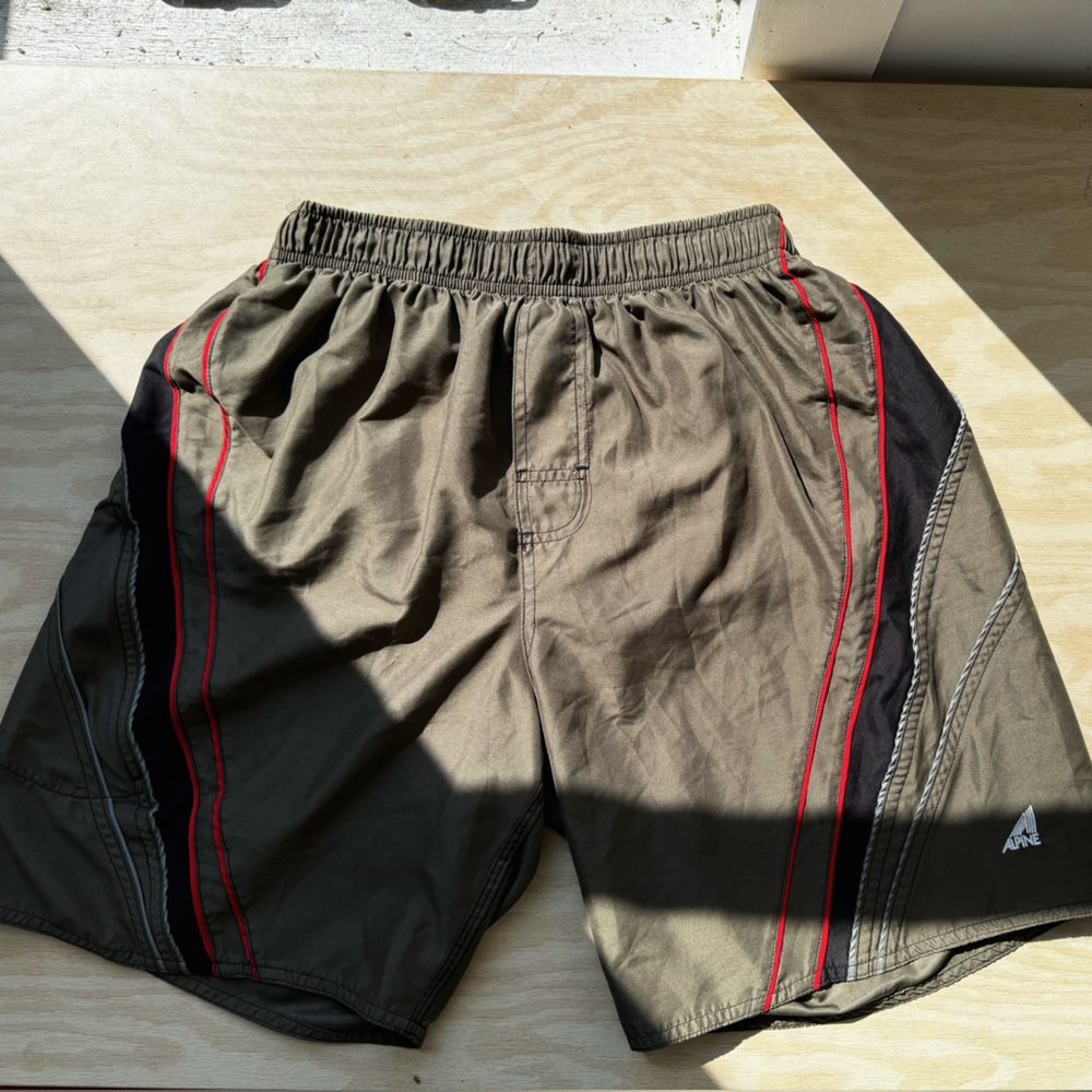 Vintage Alpine sport short